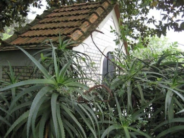 Moradia T6 para Venda em Barroselas e Carvoeiro