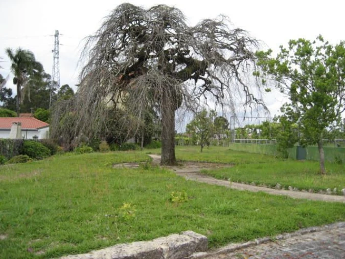 Moradia T6 para Venda em Barroselas e Carvoeiro Foto 8