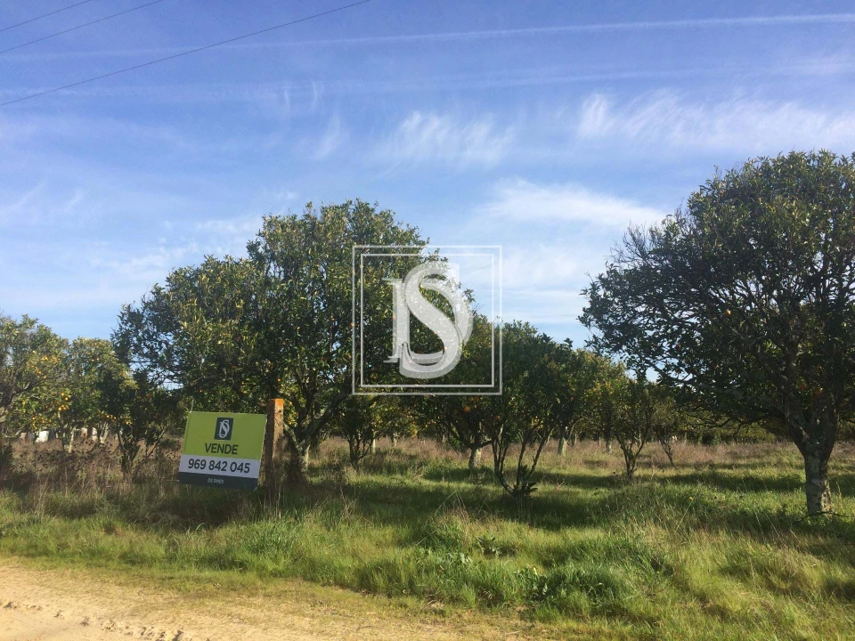 Terreno para Venda em Torrão Foto 8