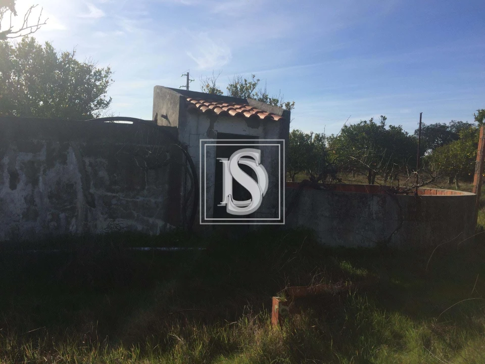 Terreno para Venda em Torrão Foto 4