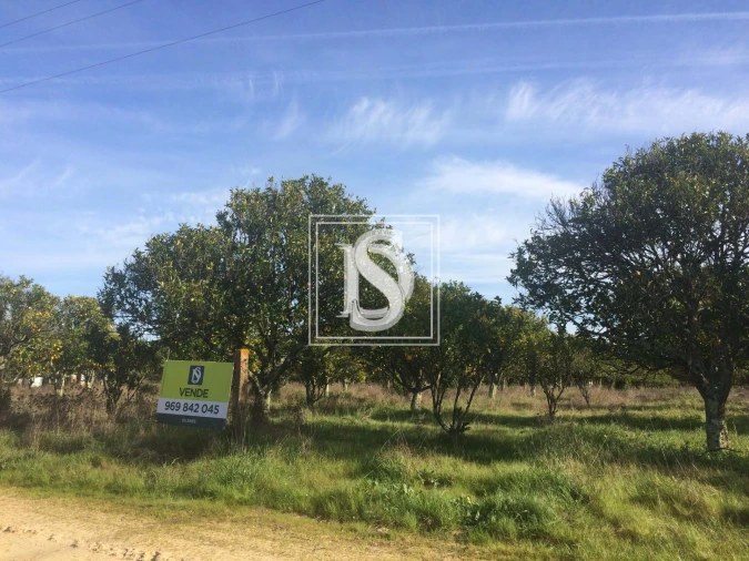 Terreno para Venda em Torrão Foto 8