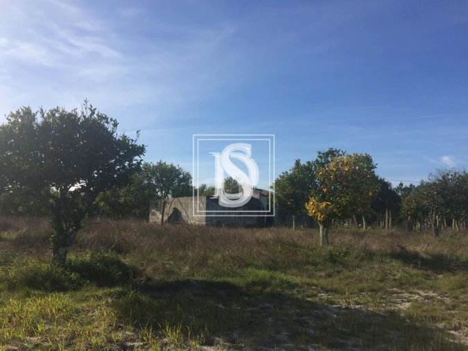 Terreno para Venda em Torrão Foto 7