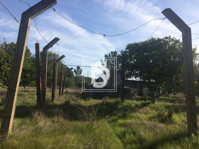Terreno para Venda em Torrão Foto 1