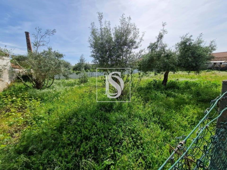 Moradia T3 para Venda em Ermidas-Sado Foto 13