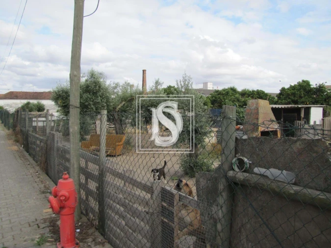 Moradia T3 para Venda em Ermidas-Sado Foto 6