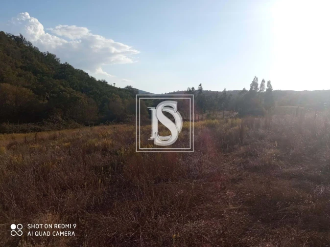 Moradia T3 para Venda em São Teotónio Foto 3