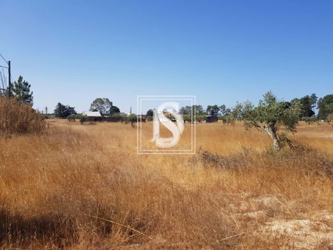 Moradia T3 para Venda em Grândola e Santa Margarida da Serra Foto 8