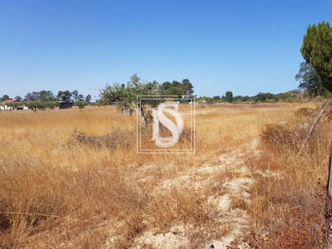 Moradia T3 para Venda em Grândola e Santa Margarida da Serra Foto 10