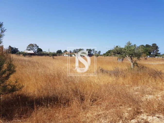 Moradia T3 para Venda em Grândola e Santa Margarida da Serra Foto 9