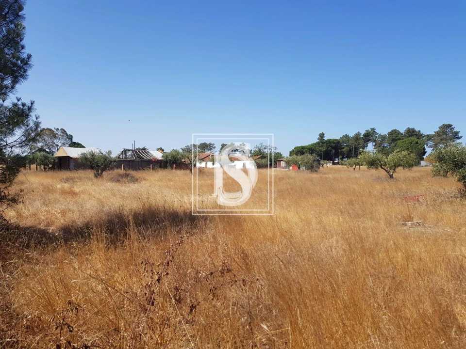 Moradia T3 para Venda em Grândola e Santa Margarida da Serra Foto 11