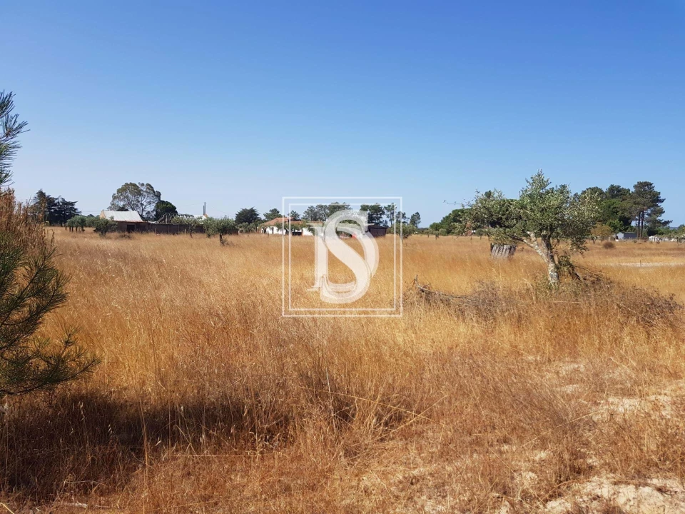 Moradia T3 para Venda em Grândola e Santa Margarida da Serra Foto 9