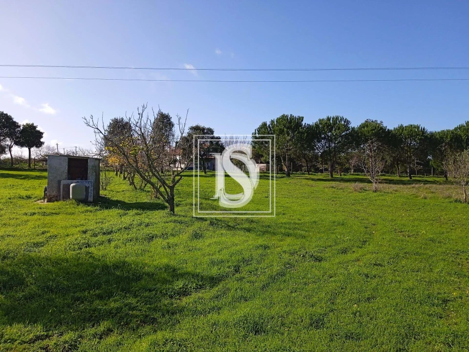 Quinta T2 para Venda em Cercal Foto 8