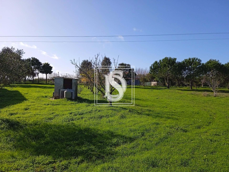 Quinta T2 para Venda em Cercal Foto 6