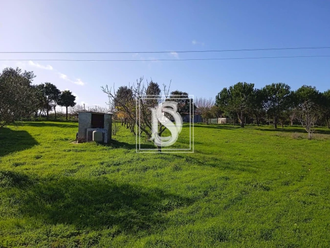 Quinta T2 para Venda em Cercal Foto 6