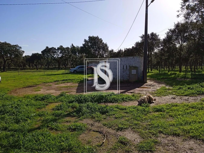 Quinta T2 para Venda em Cercal Foto 10