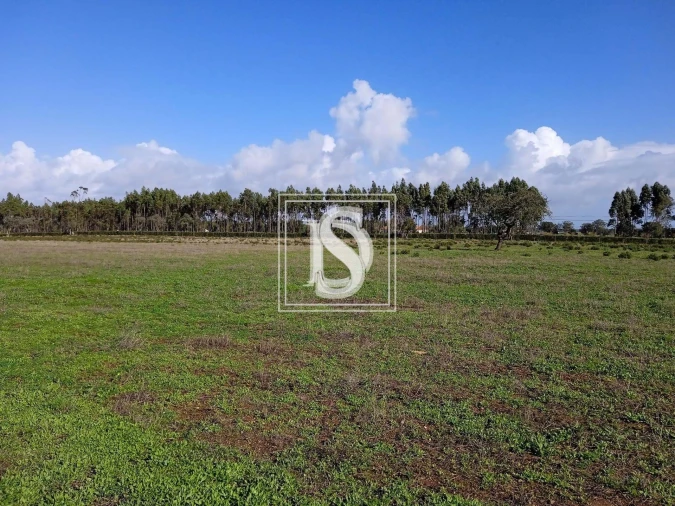 Quinta T2 para Venda em Cercal Foto 3