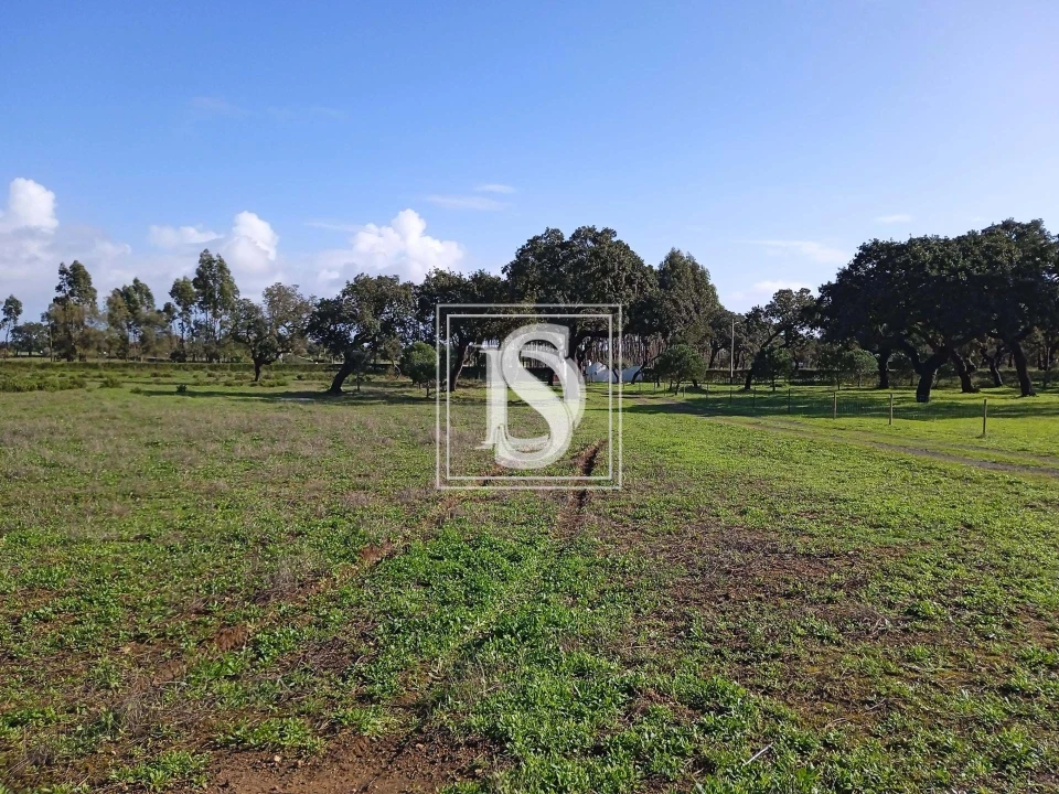 Quinta T2 para Venda em Cercal Foto 2