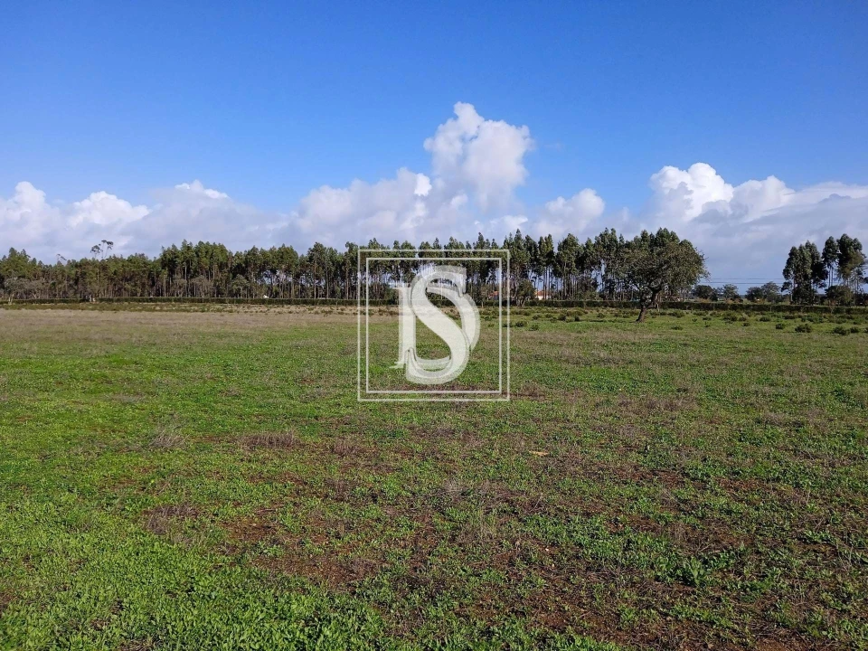 Quinta T2 para Venda em Cercal Foto 3