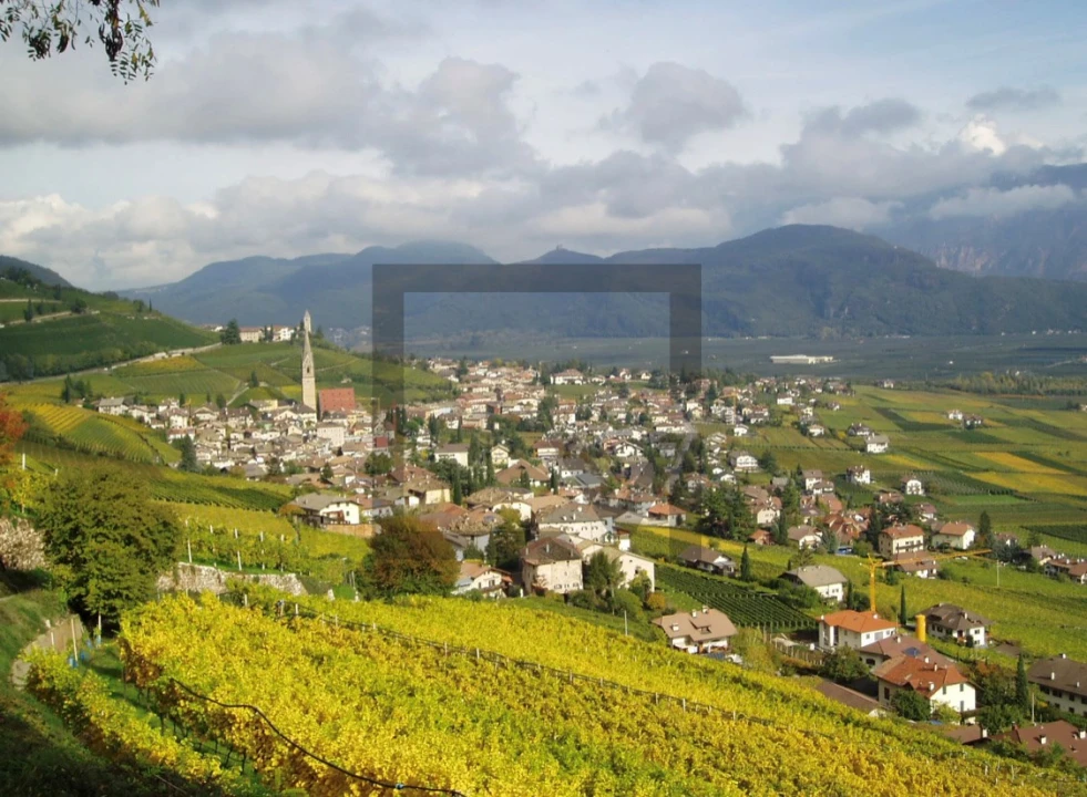 Quinta para Venda em Castro de Avelãs Foto 1