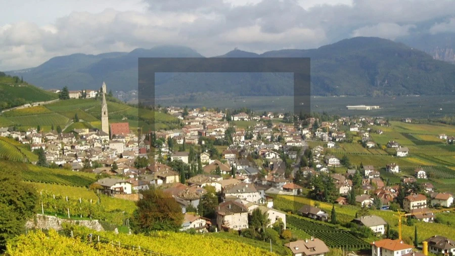 Quinta para Venda em Castro de Avelãs