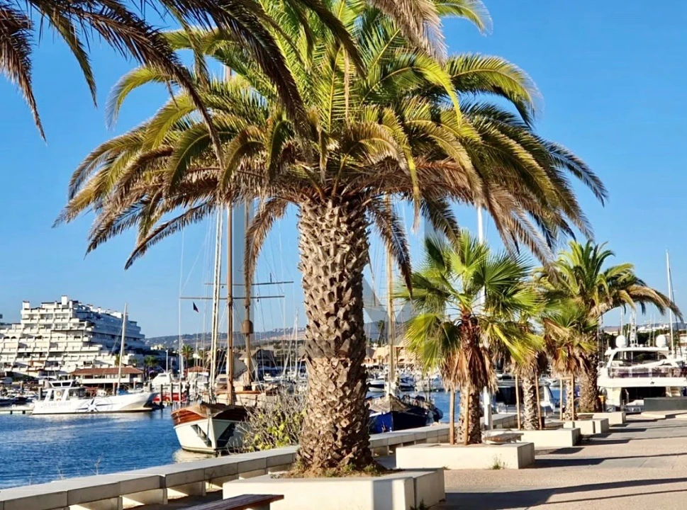 Loja para Venda em Quarteira Foto 1