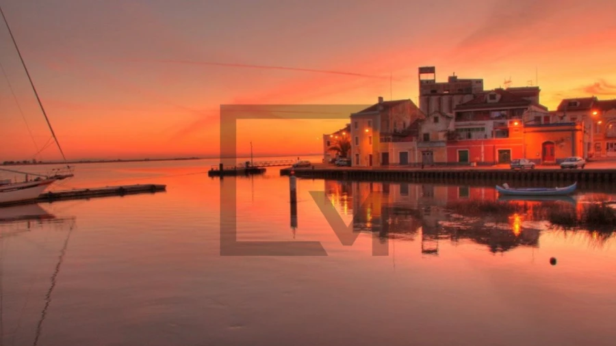 Quinta para Venda em Freiria