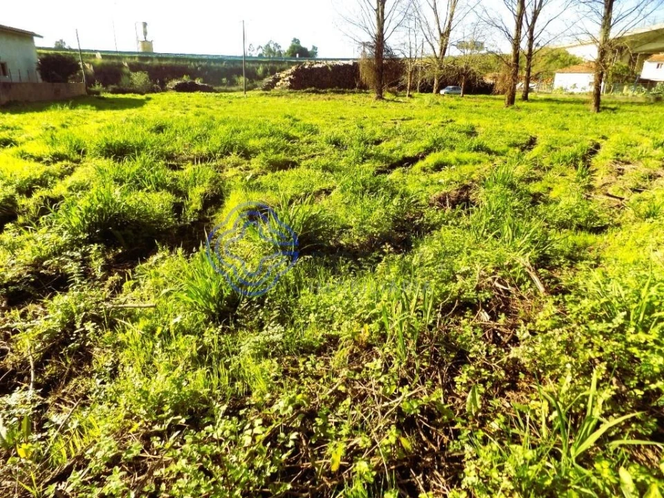 Terreno para Venda em Nogueira da Regedoura Foto 7