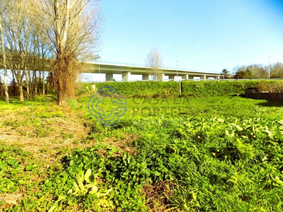 Terreno para Venda em Nogueira da Regedoura Foto 2