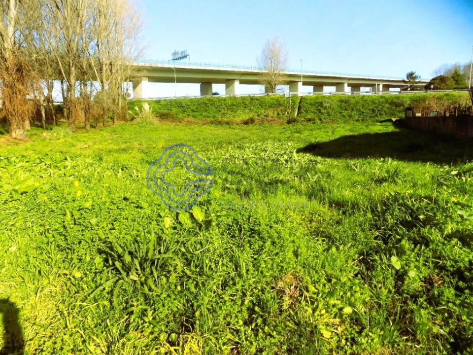 Terreno para Venda em Nogueira da Regedoura Foto 3