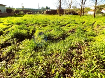 Terreno para Venda em Nogueira da Regedoura