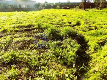 Terreno para Venda em Nogueira da Regedoura