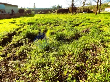 Terreno para Venda em Nogueira da Regedoura