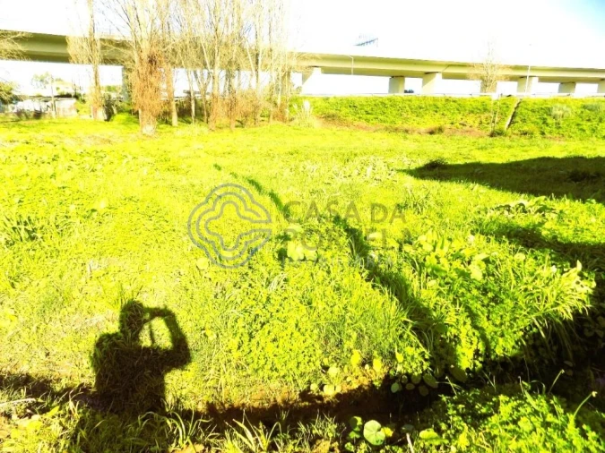 Terreno para Venda em Nogueira da Regedoura Foto 4