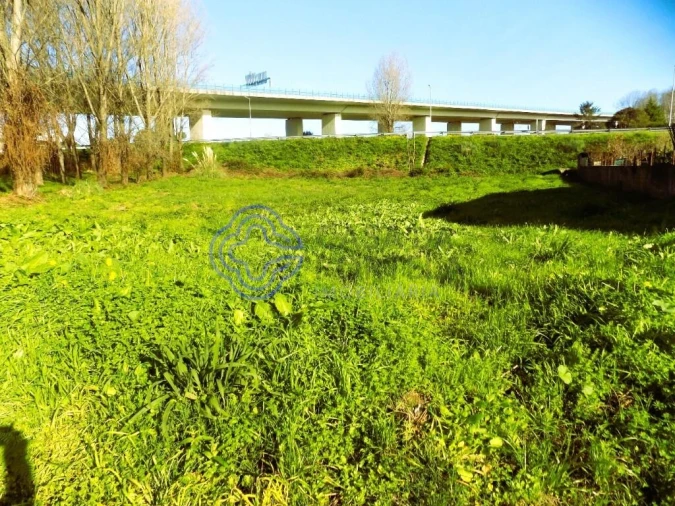 Terreno para Venda em Nogueira da Regedoura Foto 3