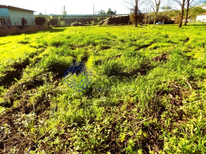 Terreno para Venda em Nogueira da Regedoura Foto 8