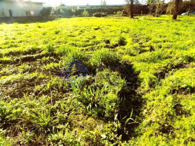 Terreno para Venda em Nogueira da Regedoura Foto 6