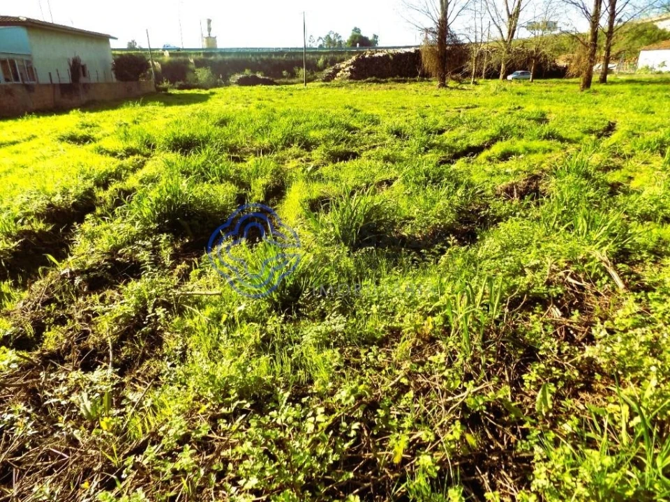 Terreno para Venda em Nogueira da Regedoura Foto 8