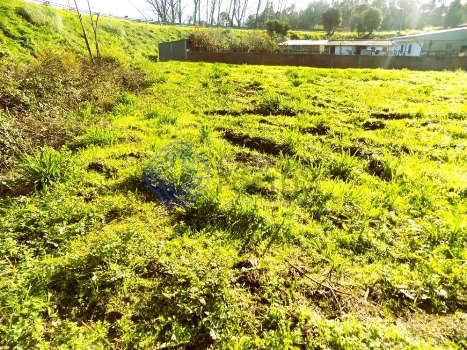 Terreno para Venda em Nogueira da Regedoura Foto 1