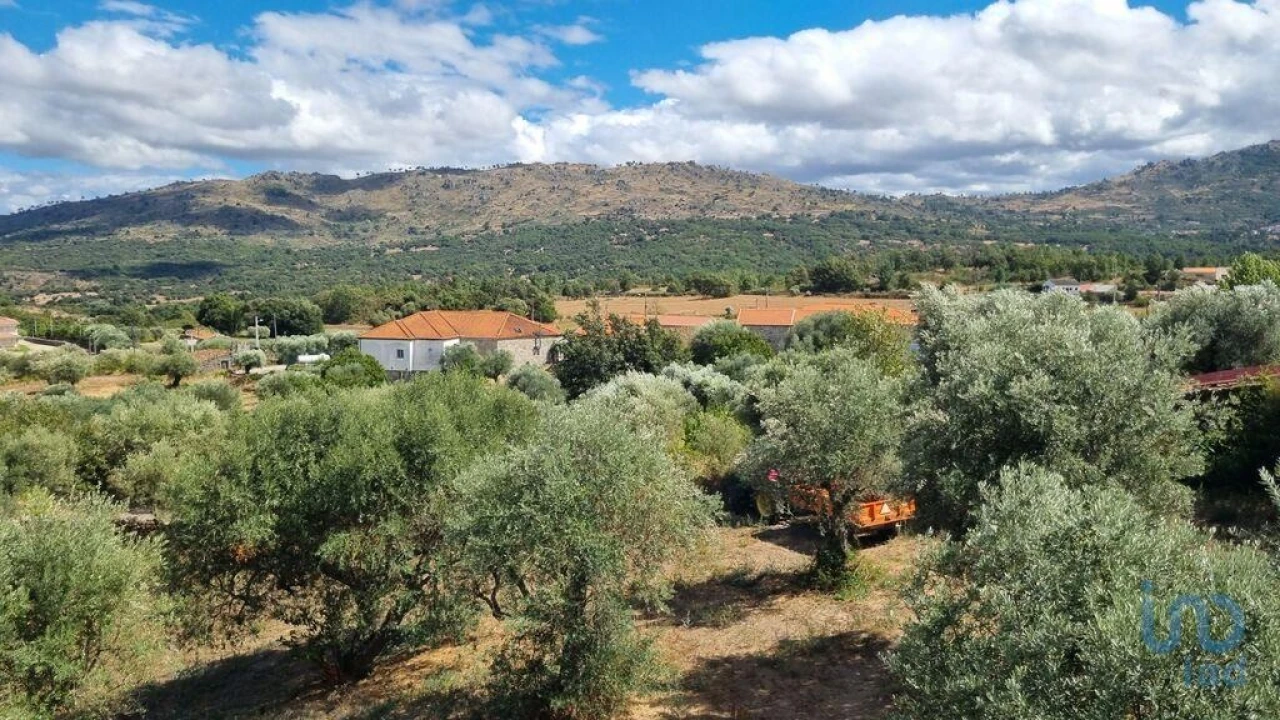 Terreno para Venda em Vale de Azares Foto 8