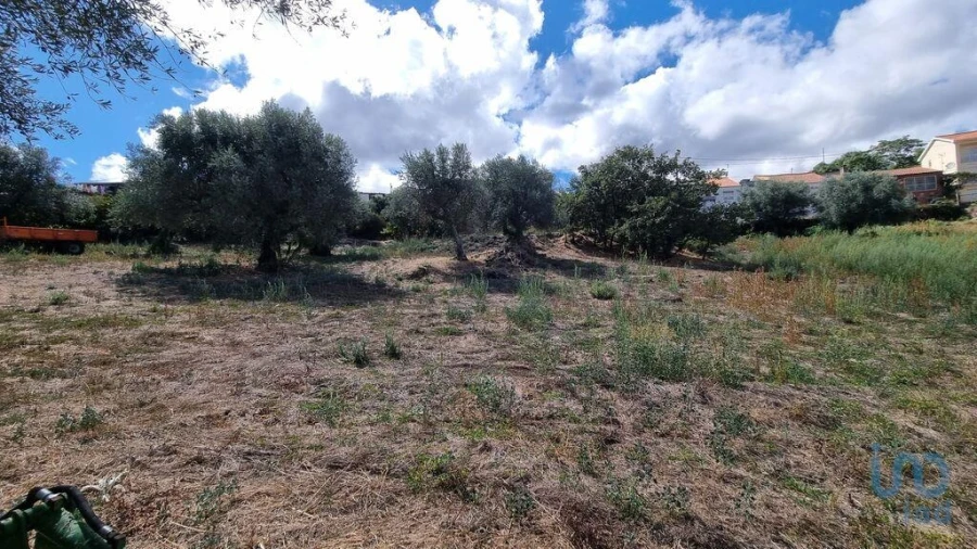 Terreno para Venda em Vale de Azares Foto 14