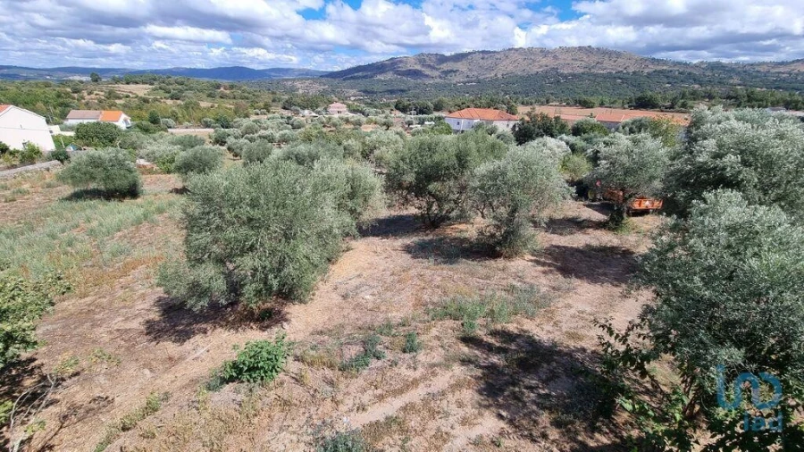 Terreno para Venda em Vale de Azares Foto 11