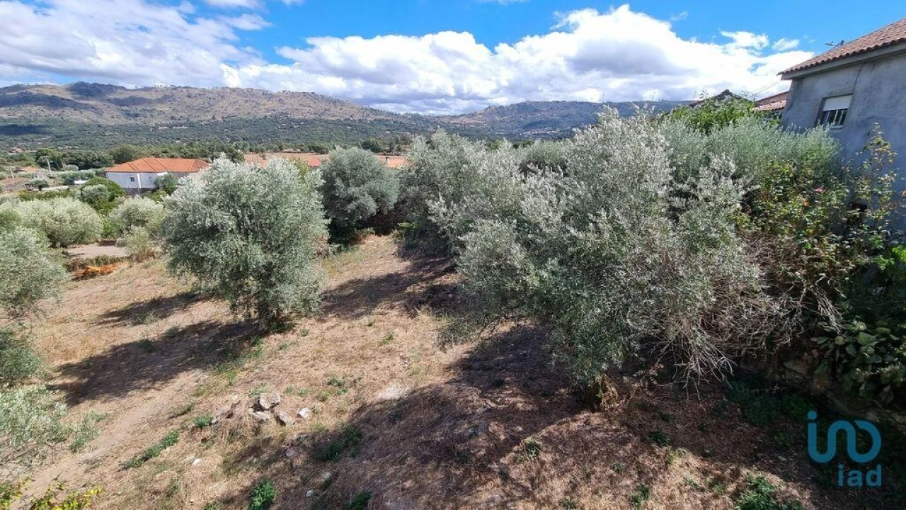 Terreno para Venda em Vale de Azares Foto 13
