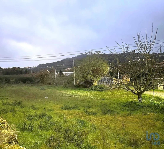 Terreno para Venda em Britiande Foto 2