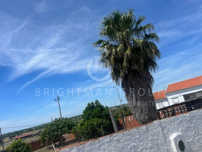 Moradia T3 para Venda em Figueira dos Cavaleiros Foto 30