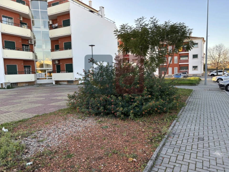 Terreno para Venda em Alpiarça Foto 10