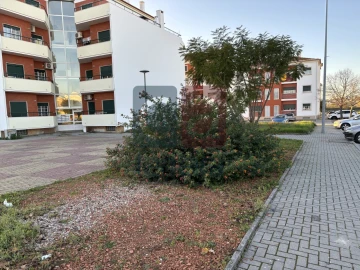 Terreno para Venda em Alpiarça