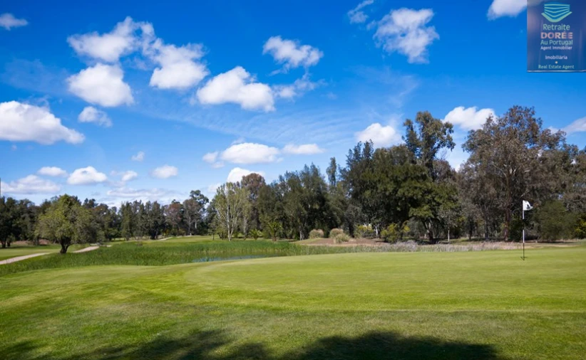 Terreno para Venda em Alvor Foto 5