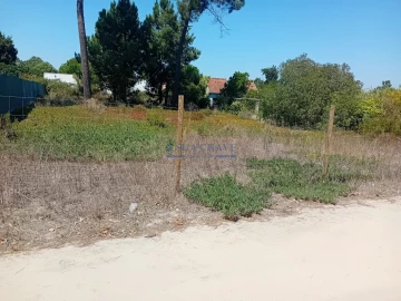 Terreno para Venda em Fernao Ferro