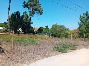 Terreno para Venda em Fernao Ferro