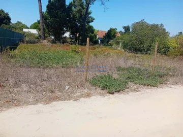 Terreno para Venda em Fernao Ferro